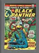Jungle Action #7  2nd App Erik Killmonger FN/VF(LF007)