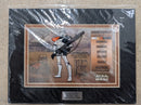 Acme Archives Exclusive: Star Wars The Clone Wars - Sandtrooper Character Key