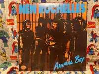 The New Rochelles "Animal Boy" VG/NM (2019 Translucent LE) Vinyl Music Punk