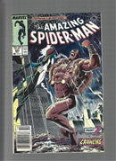 Amazing Spider-Man #293 Newsstand 1987 Kraven's Last Hunt FN/VF  (CS01)
