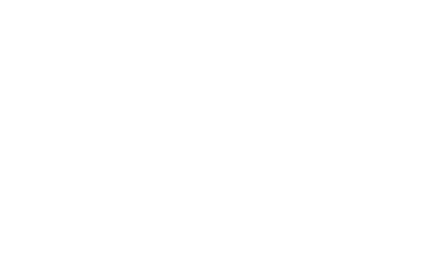 Toys Collect Dust