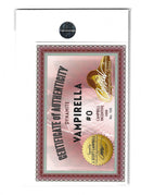 Vampirella 0 Incentive 1/100 Signed J Scott Campbell n100NM (LF006)